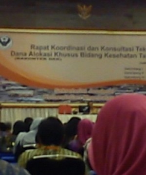 Pelaksanaan Rakontek DAK Bidang Kesehatan Tahun 2013 Dengan Warna Baru